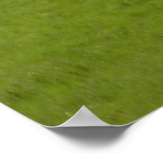 Cowboys Erinnerungen...... Poster (Ecke)