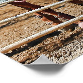 Cowboys in einem Rodeo-Poster Poster (Ecke)