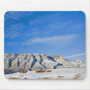 Cowboys mit einer Herde Pferde Mousepad