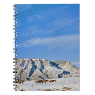 Cowboys mit Herz der Pferde Notizblock