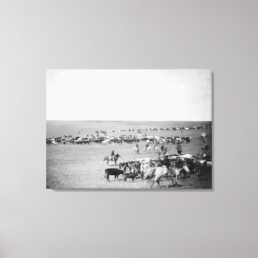 Cowboys mit Rind auf der Range Fotograf Leinwanddruck (Vorderseite)