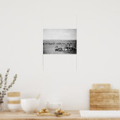 Cowboys mit Rind auf der Range Fotograf Poster (Küche)