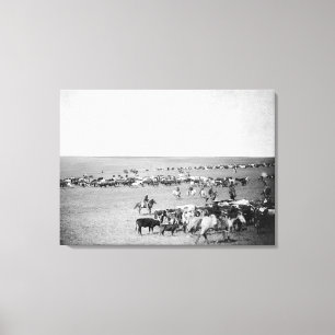 Cowboys mit Vieh auf der Strecken-Fotografie Leinwanddruck