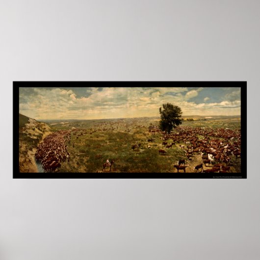 Cowboys rounding Cattle 1912 Poster (Vorne)