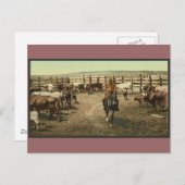 Cowboys und Kühe Postkarte (Vorne/Hinten)