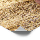 Cowboystiefel 2 poster (Ecke)