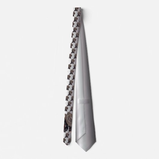 Cowboystiefel und Hut Krawatte (Rückseite)