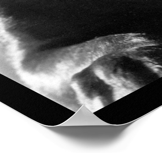 Cowdog Poster (Ecke)