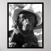 Cowdog Poster (Vorne)