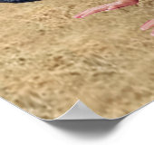 COWGIRL CATFIGHT WRESTLING #2 POSTER (Ecke)