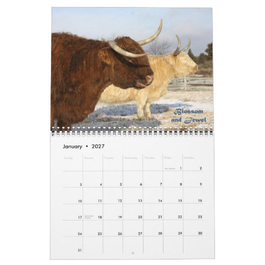 Cowgirl-Kalender 2011 Kalender (Jan 2027)