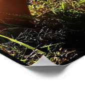 Cowgirl Montage Poster (Ecke)