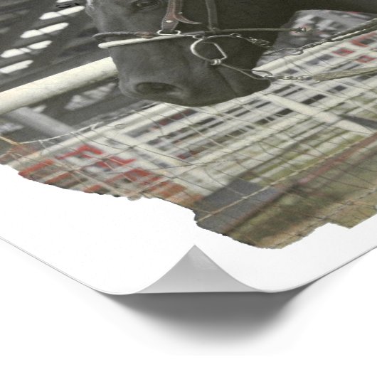 Cowgirl Poster (Ecke)