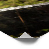 Cowgirl Ranch Poster (Ecke)