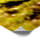 Cowgirl Ranch Poster (Ecke)