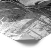 Cowgirl Rassling a Calf, 30er Poster (Ecke)