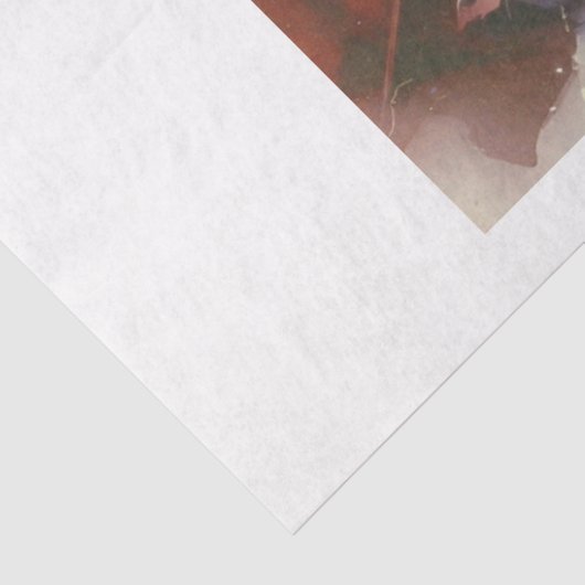 Cowgirl Rodeo Seidenpapier (Ausschnitt)