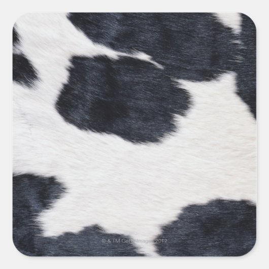 Cowhid Print Quadratischer Aufkleber (Vorderseite)