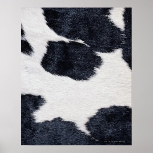 Cowhide Print Poster (Vorne)