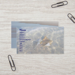 Cownose-Stingray-OBX-Serie Visitenkarte