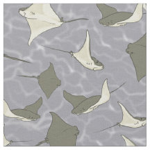 Cownose Stingray-Ozean-Muster