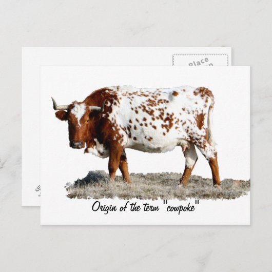 COWPOKE POSTKARTE (Vorne/Hinten)