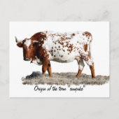 COWPOKE POSTKARTE (Vorderseite)