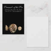 Cowrie Cones 2 Business Card Visitenkarte (Vorne/Hinten)