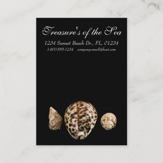 Cowrie Cones 2 Business Card Visitenkarte (Vorderseite)