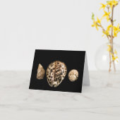 Cowrie Cones 2 Card Karte (Gelbe Blume)