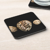 Cowrie Cones 2 Cork Untersetzer (Linke Seite)