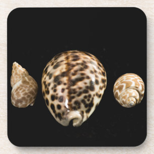 Cowrie Cones 2 Cork Untersetzer