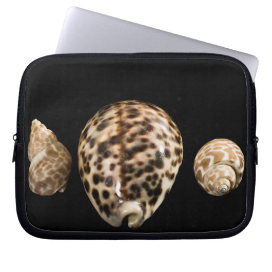 Cowrie Cones 2 Laptop-Sieb Laptopschutzhülle (Vorderseite)