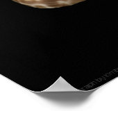 Cowrie Cones 2 Poster (Ecke)