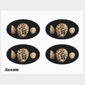 Cowrie Cones 2 Sticker (Blatt)