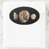 Cowrie Cones 2 Sticker (Tasche)