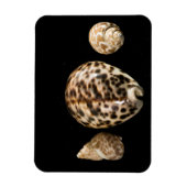 Cowrie Cones 2 Vinyl Magnet (Vertikal)