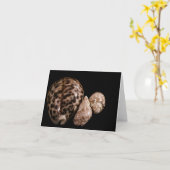 Cowrie Cones Card Karte (Gelbe Blume)