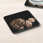 Cowrie Cones Cork Untersetzer (Linke Seite)