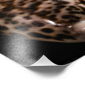 Cowrie Cones Foto (Ecke)