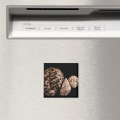 Cowrie Cones Magnet (In Situ (Geschirrspüler))