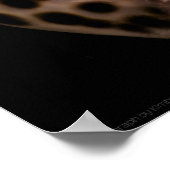 Cowrie Cones Poster (Ecke)
