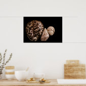 Cowrie Cones Poster (Küche)