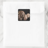 Cowrie Cones Sticker (Tasche)