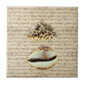 Cowrie Muscheln Fliese (Vorderseite)