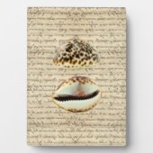 Cowrie Muscheln Fotoplatte (Vorderseite)