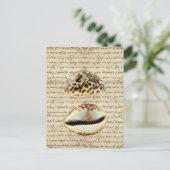 Cowrie-Muscheln Postkarte (Stehend Vorderseite)