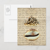 Cowrie-Muscheln Postkarte (Vorne/Hinten)