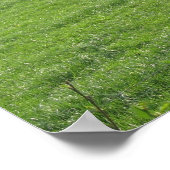 Cows Foto Poster Print (Ecke)