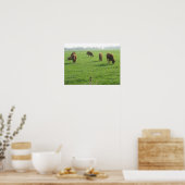 Cows Foto Poster Print (Küche)